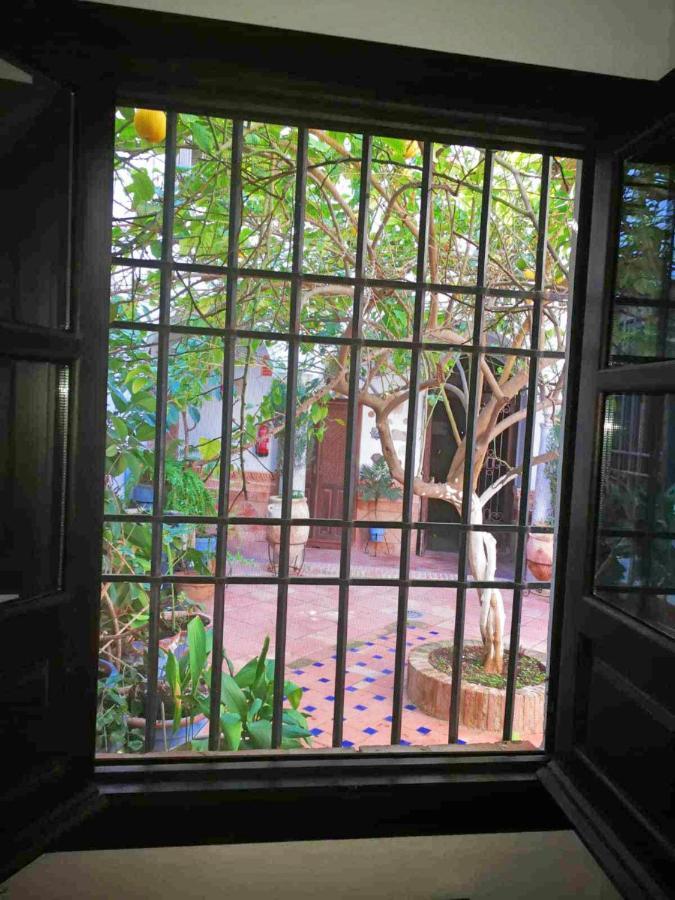Casa Patio Los Suenos De Daury II Kordoba Bagian luar foto